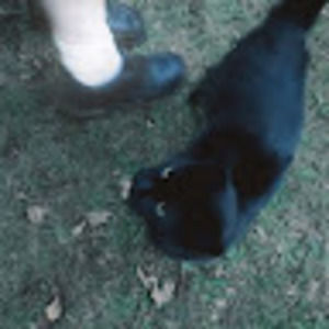 Meet your Posher, Knelly